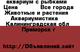 аквариум с рыбками › Цена ­ 1 000 - Все города Животные и растения » Аквариумистика   . Калининградская обл.,Приморск г.